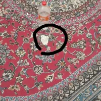 قالی12متری