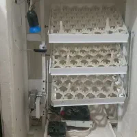 فروش دستگاه جوجه کشی ۱۲۶ تایی