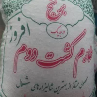 انواع برنج شمال درجه یک اصلی