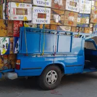 خرید کارتن موز