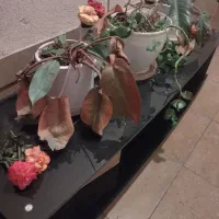 میز تلویزیون شیشه ای