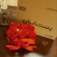 گل ربانی