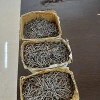 سه جعبه میخ ریز