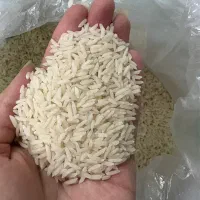برنج هاشمی سورتینگ شده (تناژ محدود)