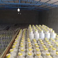 خیارشور درجه ۱ همدان  قیمت مناسب با ضمانت