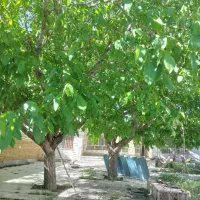 ویلایی دوکله ۶۰۰متر