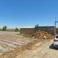 رهن-واجاره-دامداری
