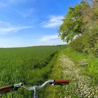 جویای کارم