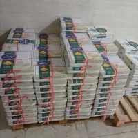 نیروی مرد برای تولیدی نبات