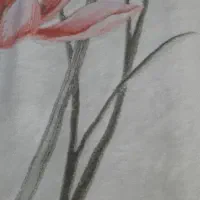 پتو یک نفره