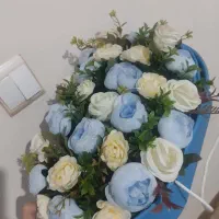 نوزادی باکس