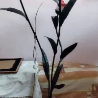 چراغ خواب