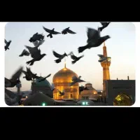 کاروان.مشهد برا اربعین