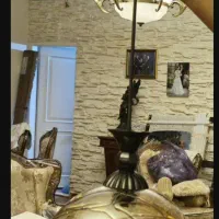 لوستر تک شاخه( ۴۵۰ هزار تومان )