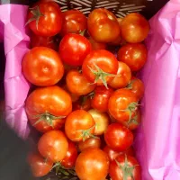 بسته بندی صیفی جات