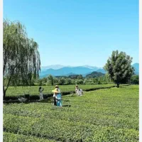 زمین کشاورزی باغی