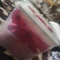 ظروف مسافرتی