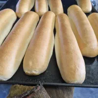 بسته‌ بندی و نظافت