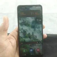 a11
