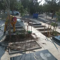 سرقبر کنارقبر سرمزار کاشتن نهال درخت گل وگیاه در|خدمات باغبانی و درختکاری|تهران, باغ خزانه|دیوار