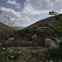 زمین در قلب برگ جهان