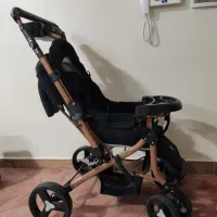 کالسکه دلیجان مدل بنیتا درحدنوه نو