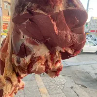 فروش گوشت گوساله گوسفند نرمه