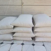 بالشت