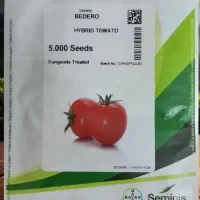 بذر گوجه فرنگی بدرو 2025