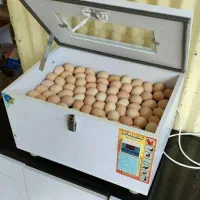 دستگاه جوجه کشی  درحد