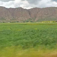 زمین-کشاورزی-اجاره-ای