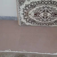 پشتی