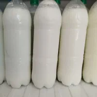 دوغ و ماست محلی