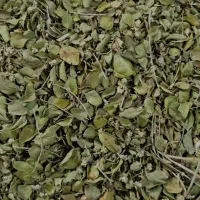 آویشن تازه خوش عطر