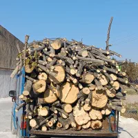 خرید بریدن انواع درخت .چوب