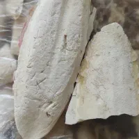 کف دریا و قهوه سر