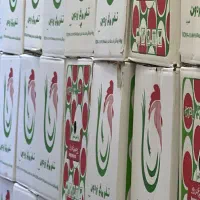 پخش مستقیم تخم مرغ از مرغداری در تهران