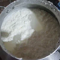 فروش شیر وکره گاوی