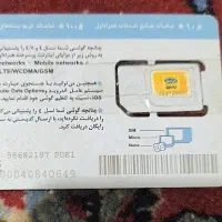 خط دایمی