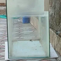اکواریوم