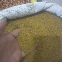 بذر یونجه رنجر  و همدانی اصلاح شده