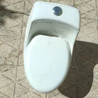 فرنگی تمیز و مرتب/ آماده استفاده