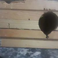 لونه