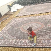 دو تخته فرش ماهی  700شانه