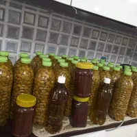 روغن زیتون اصل طارم