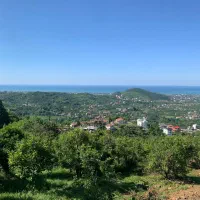 زمین ۳۰۲ متری مسکونی با سند و پروانه در دالخانی