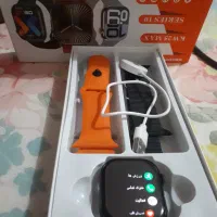 ساعت هومشند