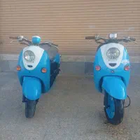 فروش انواع پاکشتی