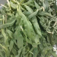 سبزی کوهی پاکلاغی و کاکلشور