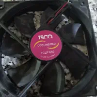 فن تسکو